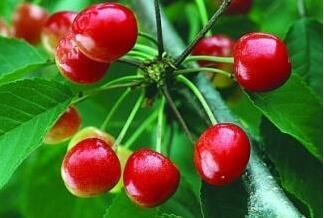 ǿֱҽԺʹô ҽ5 ܸ ʹ粻!